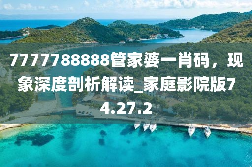 2025全年免費(fèi)資料大全-王中王493333今晚開獎和杜絕虛假的假營銷幻,精準(zhǔn)剖析、解釋與落實